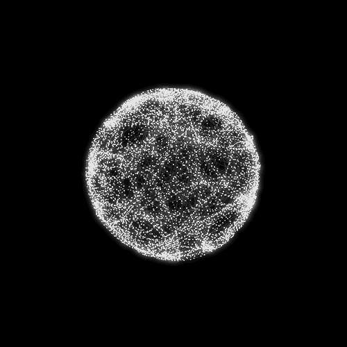 Animated GIFs