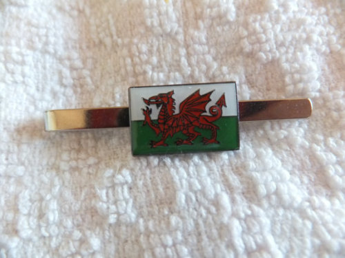 Great Welsh Red Dragonkin for gaynesspopcorn Welsh and Proud dragon tee Great Welsh Red Dragon tie p