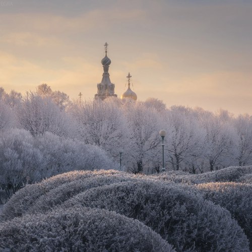 northwindnovoross: St. Petersburg: Champ de Mars, the Savior on Spilled Blood