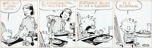 thebristolboard:  Original Calvin and Hobbes daily strip by Bill Watterson, originally published by Universal Press Syndicate, May 9, 1987.