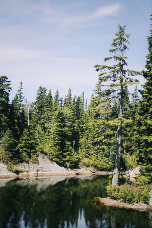 kunstsalat:Cabin Lake, West Vancouver