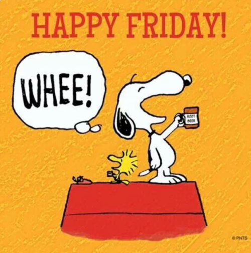 allthingssnoopy: Good morning and happy Friday!!