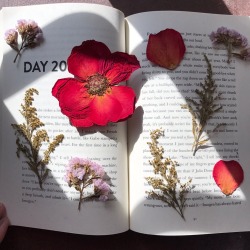 explicitcherry:  books and flowers