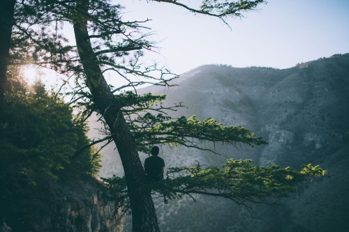 nostalgic-dreaming:   	Crimson Trail by Kesler Ottley    	Via Flickr: 	3.28.15 - Logan, Utah   