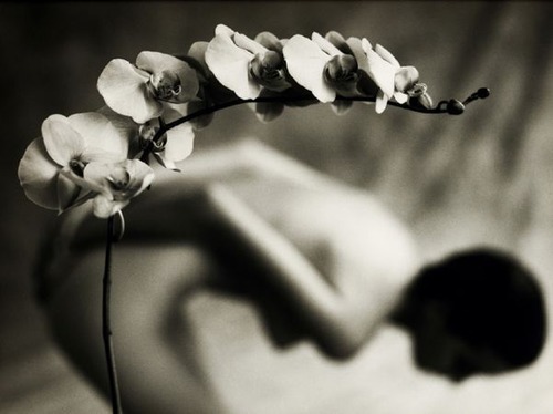 cherban11:  Mark Arbeit 