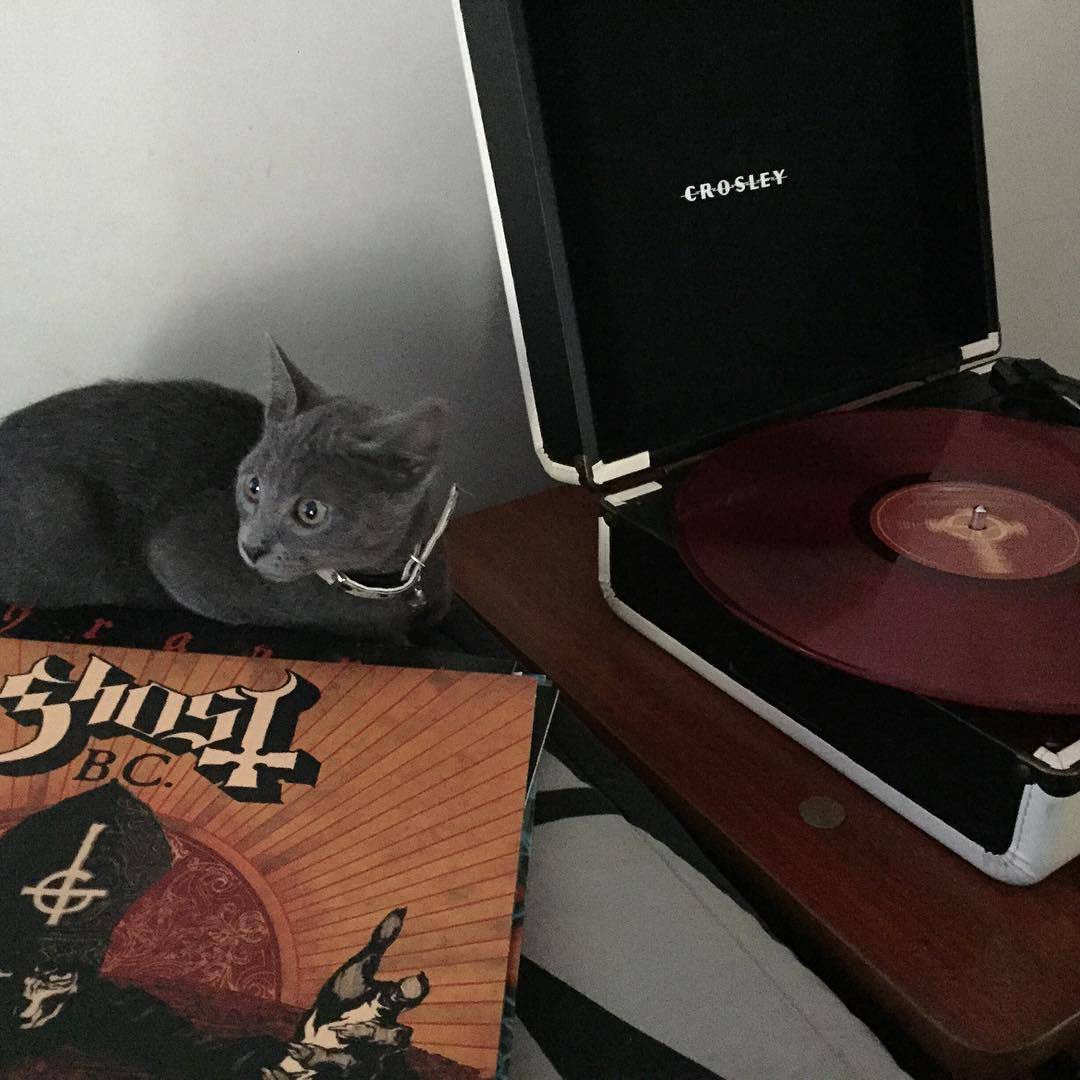 #ghost #ghostbc #kitten #vynils