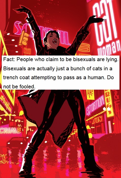 bluecoati:  rightpropervillain:  halbarry:  friendly reminder that catwoman is canon