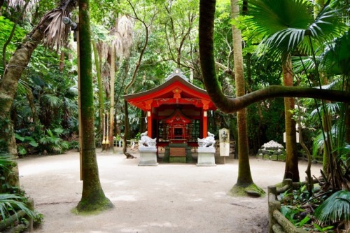 青島神社⛩