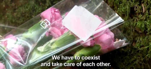 breeeliss: newtgeiszler:  onlinepunk: Suicide Forest in Japan in the wake of that horrible youtube video, it’s important to support suicidal people and remember suicide victims. i don’t know who that man was but his life shouldn’t be a footnote