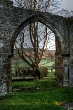 wildman64:  bluepueblo:  Archway, North Yorkshire, England  photo via doug  Jh 