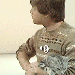 theadmiress:  Mark Hamill  He’s just adorable.  