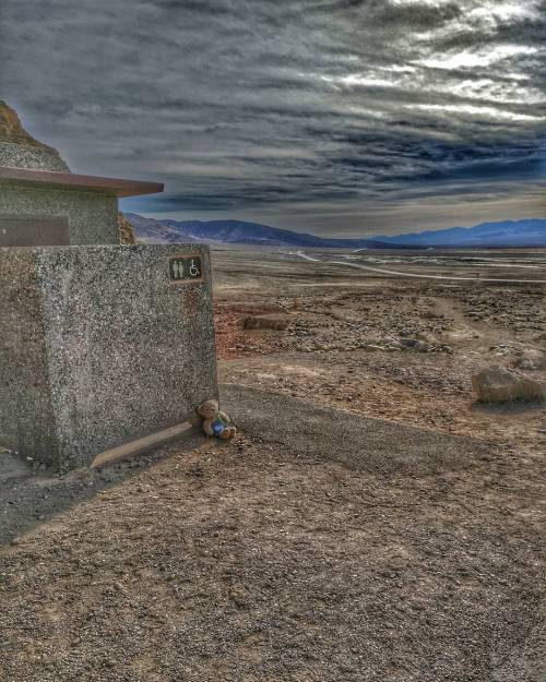 Orsetto abbandonato nella Death Valley..  Ci manca solo la famiglia di cannibali che rapiscono e torturano turisti ☠️🔪🔫 #deathvalley #usa #roadtrip #nevada #horror # angoscia #serialkiller  (presso Death Valley National Park)