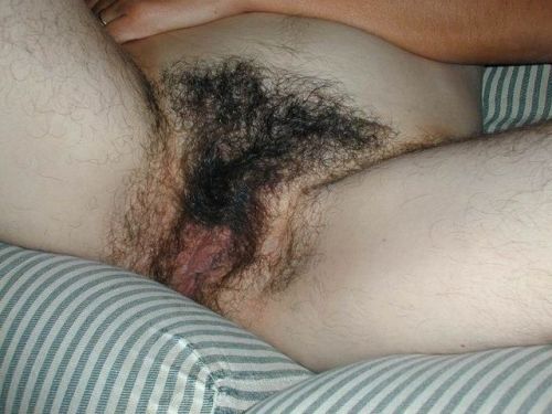 Porn Pics Hairy bush!
