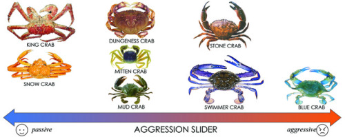 marinebiologyshitposts:jeweledrex:crab-justice:spectrometrie:FYINeed a scale of edibility.
