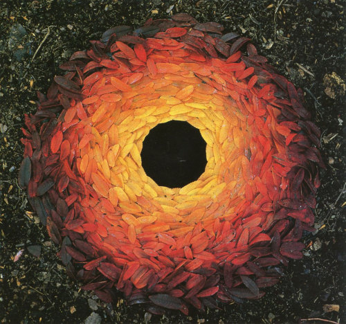 landscape-photo-graphy:  Artist’s Temporary Decaying Art Brings Enchantment To The Forest British sculptor Andy Goldsworthy is known for his phenomenal and temporary, installations which involve using natural elements, ranging from sticks, stones,