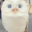 peachcatowl