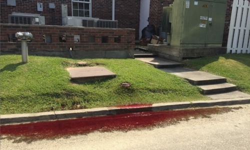 duchessofdeath: Photo taken from behind the Greenoaks Funeral Home in Baton Rouge, Louisiana, showin