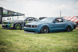 fuckyeahfordmustangs:  musclecarblog:  Just a couple of stangs by Rob Rabon Photography on Flickr.