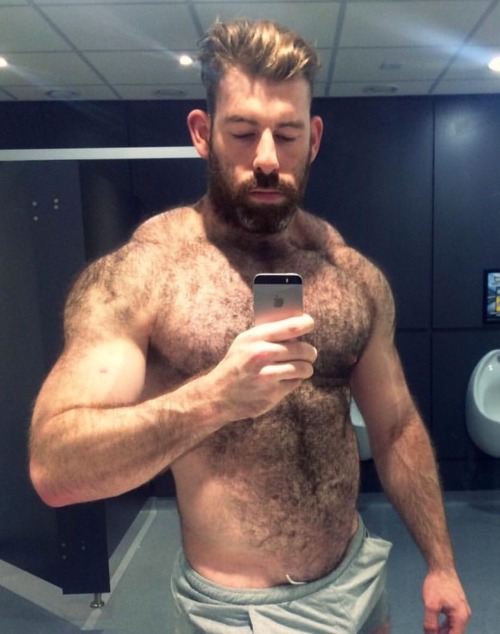 Bears, bears... bears!