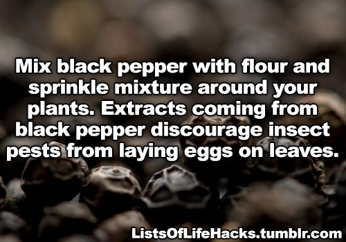 fangirltothefullest: halfdecenthomestucksprites:  falsepalindrome:  resting-dick-face:   listsoflifehacks: Genius Gardening Hacks I do a lot of this shit. The vinegar and baking soda stuff I’ll have to try. You can also use craft paper that they sell
