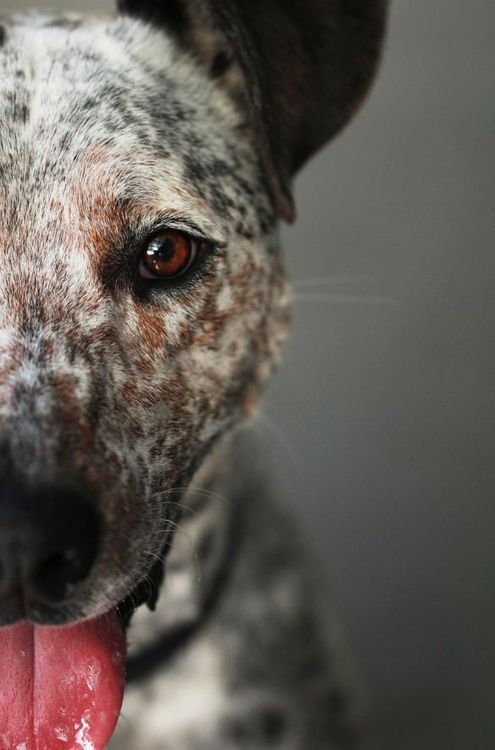 jazzbruce:  Photo by Calley Gibson