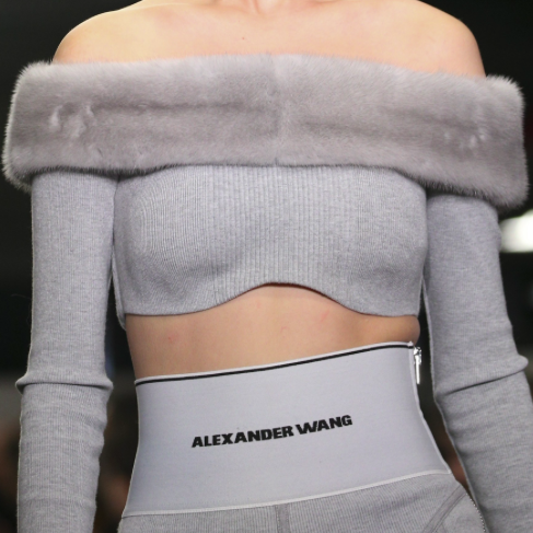 lindseywickson:alexander wang fw18