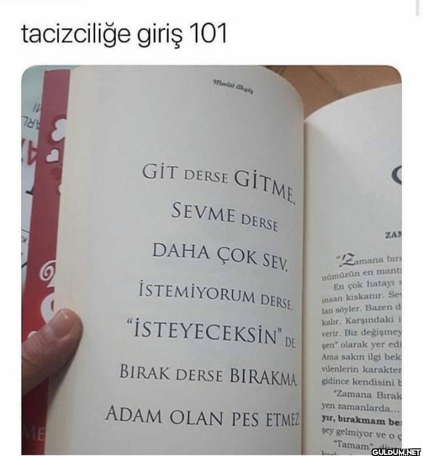 tacizciliğe giriş 101 10...