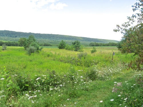 And we took a walk with the Kittatinny Ridge in the background.