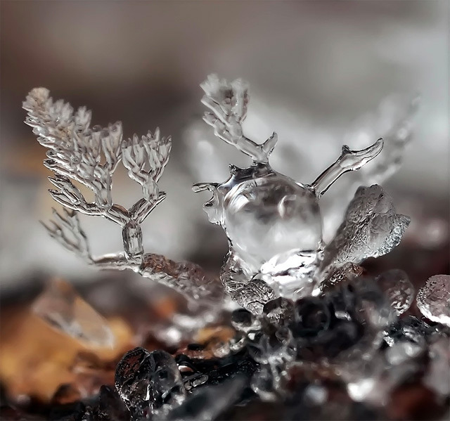 the-star-stuff:  Remarkable Macro Photographs of Ice Structures and Snowflakes Russian