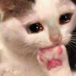 I Literally Deleted Some Modern Human Neteyam Hcs, I Want To Cry I Gots To Write Ts Again