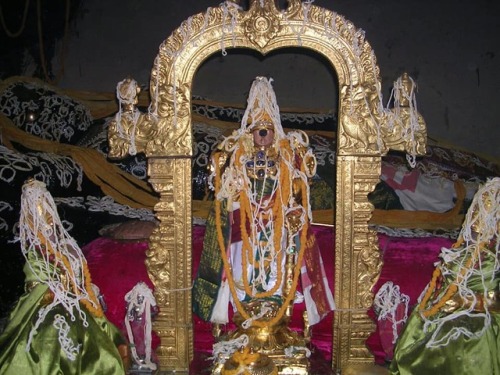 Rangannatha at pavitram Ekadashi, Srirangam, Tamil Nadu