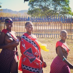   Swazi reed dancers, via dominikform  