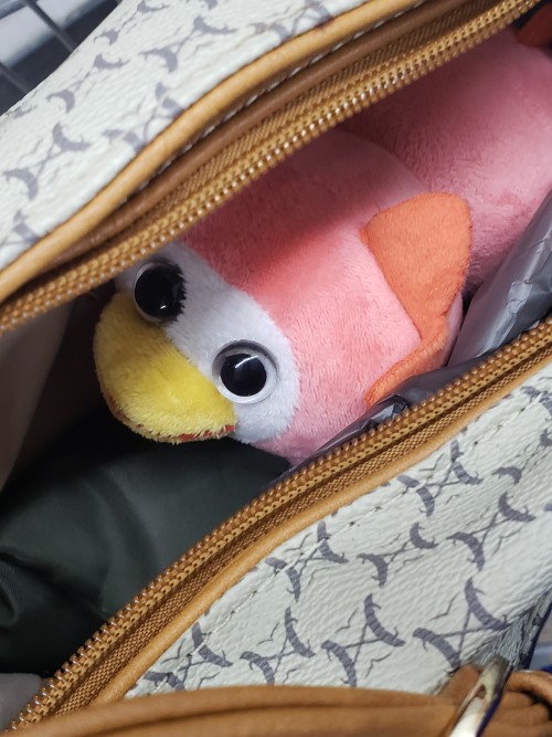 A Day Out With Peepy