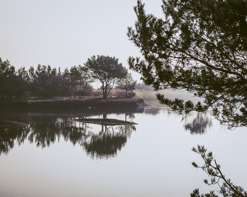 Newstead & Annesley Country Park, Nottinghamshire, England