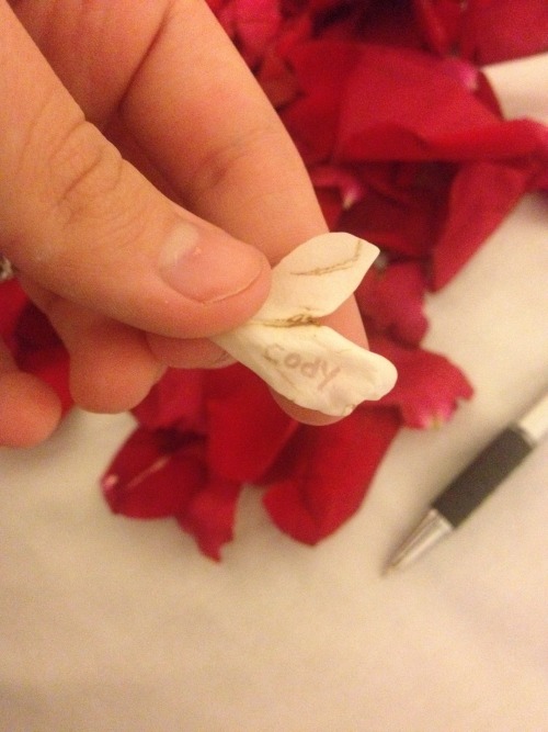 His late Valentine’s gift to me was a bed of roses. We picked them all up and put them in a jar, later, I found this petal in the jar and I thought it looked like a heart; so I wrote his name on it. I know that the rose petals are now wilting, but