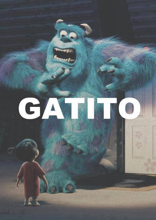 minititi:  GATITOOOOOOO!!!!