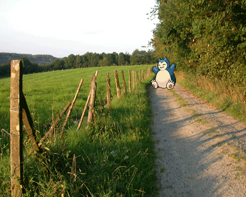 gymleaderjake:  A Snorlax… blocking the road. Surprise. Surprise.
