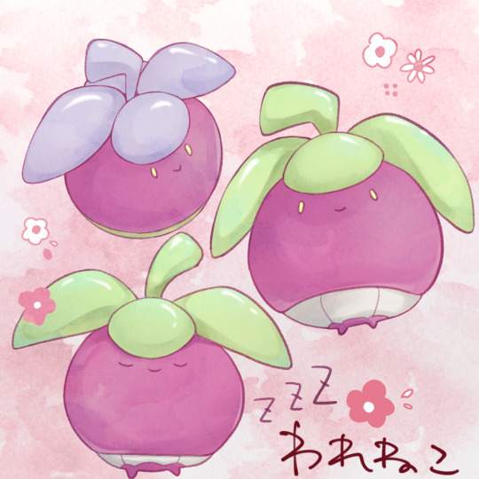 アマカジ Explore Tumblr Posts And Blogs Tumgir