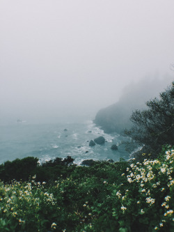 photo-wzrd:  Ocean & ForestVisiting the