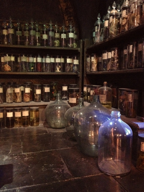 The dusty shelves of ingredient and tincture bottles lining the walls of the Potions Classroom at Ho