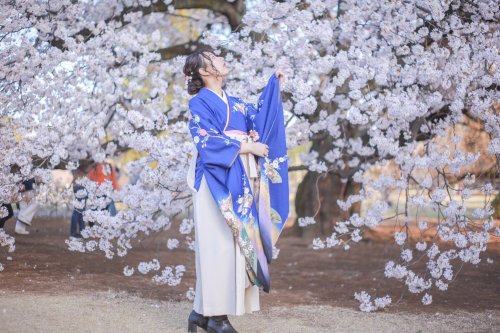 Kimono lover Muu’s lovely graduation ceremony outfit, beautifully shot among cherry trees in bloom. 