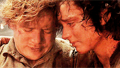 ianmckellen:  lotr meme: six bro/otp’s (2/6) → Frodo and Sam &ldquo;I made