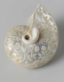 pearl-nautilus:Nautilus shell carved with floral scrolls, by Cornelis Bellekin, 1650 - 1700