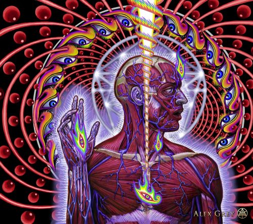 goostor:  Dissectional Art for Tool’s Lateralus CD by Alex Grey 2001 