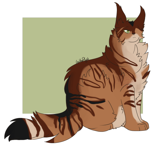 MossClan Dump