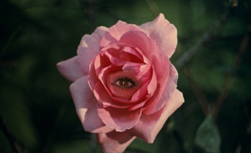 peau d'âne, 1970jacques demy