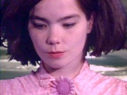 bjork is harsh noise