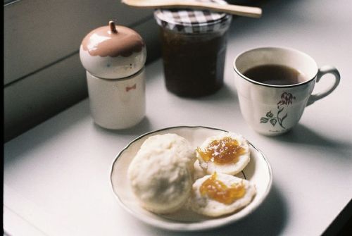algoll:  Untitled by victoria | i will be the forest on Flickr.