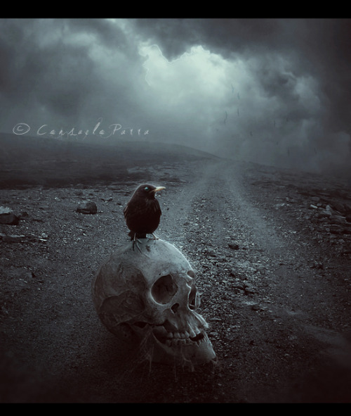 twenty1-grams:  Alone in the Path by Aeternum-Art on DeviantArt 