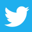 the-real-twitter-bird